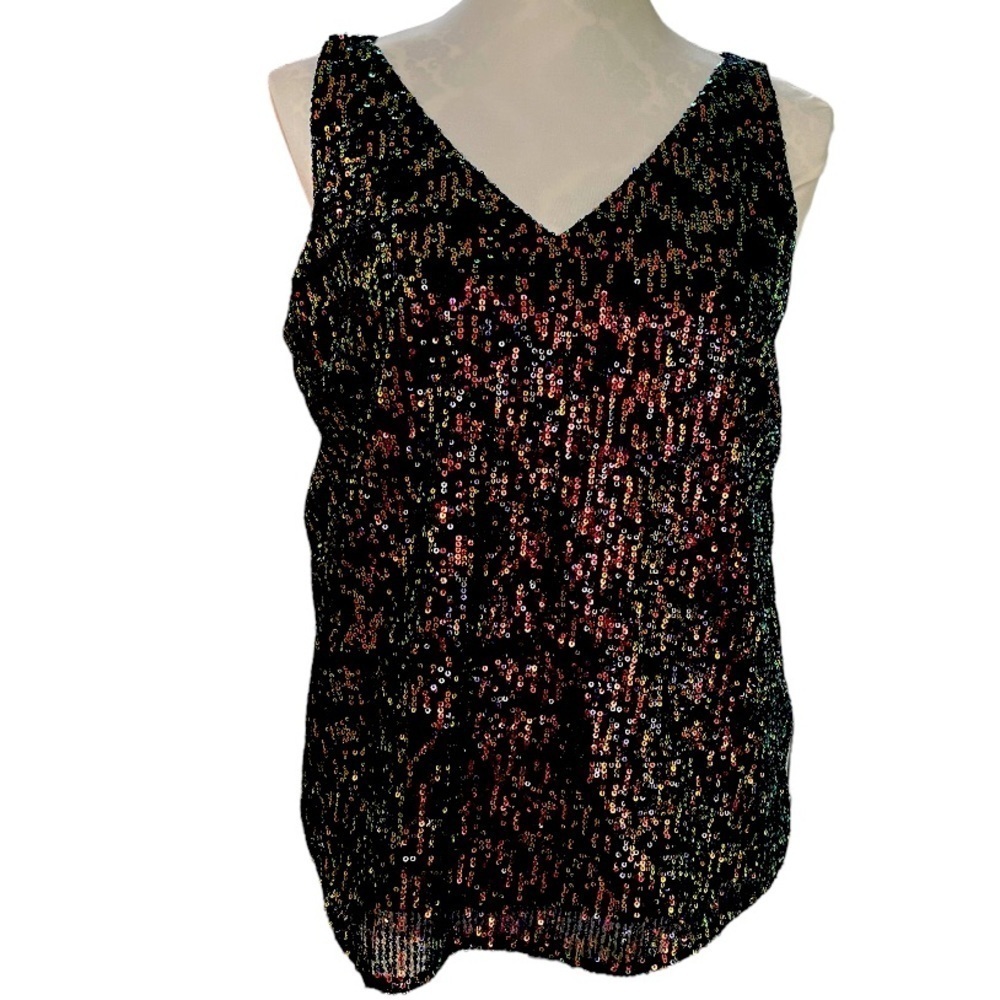 Loft Sleeveless Sequin V-neck Top | Size Petite Large